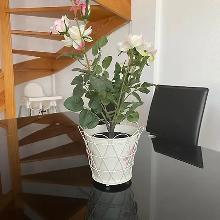 Dom wakacyjny Casa *